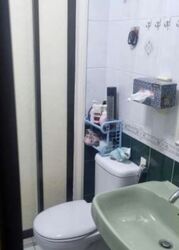 The Tanamera (D16), Condominium #605369111